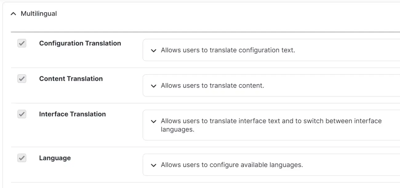 Drupal Multilingual Modules